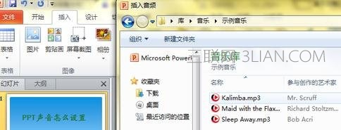 2120355P6-2.jpg