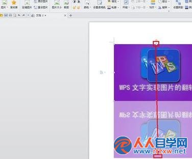 2020103117-6.jpg