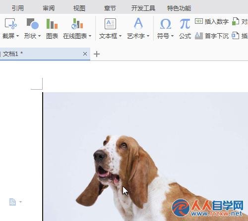 21003163a-0.png