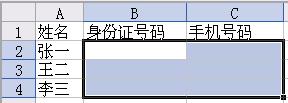 2332292140-2.jpg